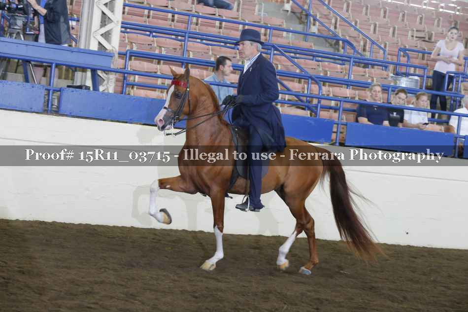 Proof Number 15R11_03715