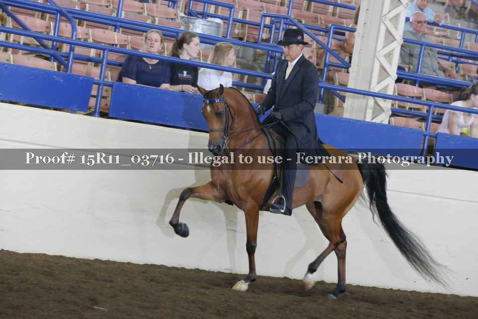 Proof Number 15R11_03716