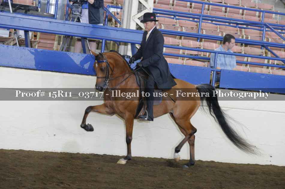 Proof Number 15R11_03717