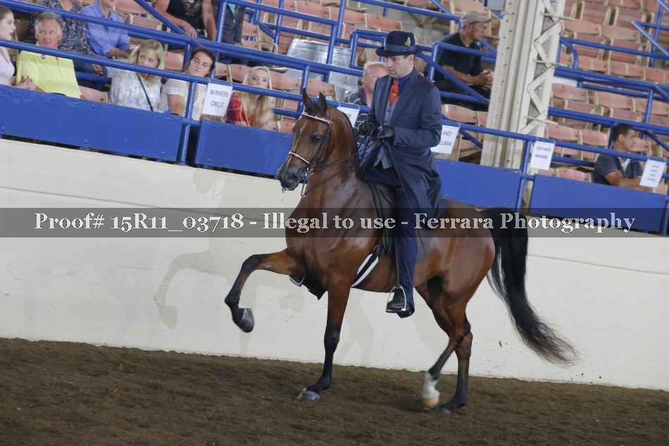 Proof Number 15R11_03718