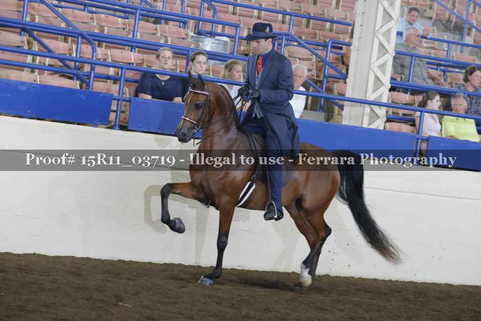 Proof Number 15R11_03719