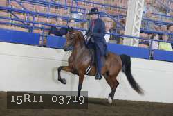 15R11_03719 thumbnail