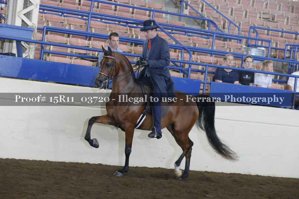 Proof Number 15R11_03720