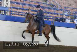 15R11_03720 thumbnail