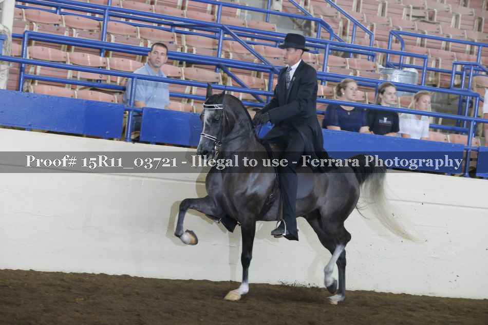 Proof Number 15R11_03721