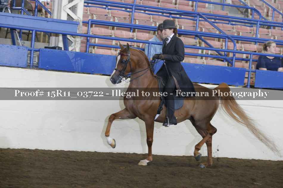 Proof Number 15R11_03722