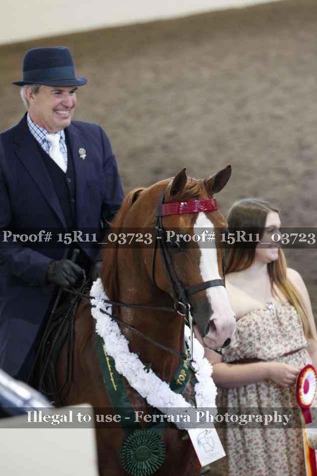 Proof Number 15R11_03723