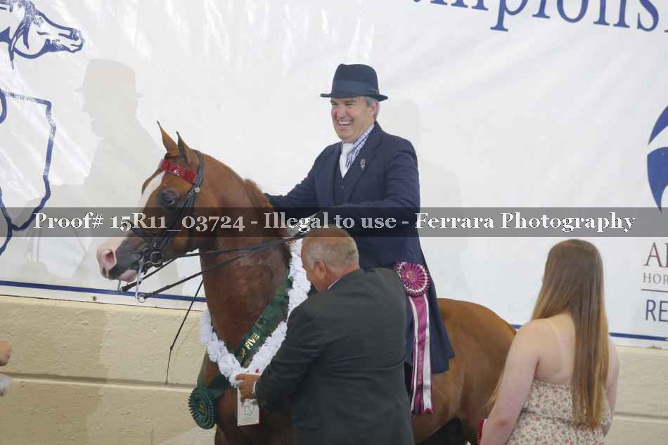 Proof Number 15R11_03724