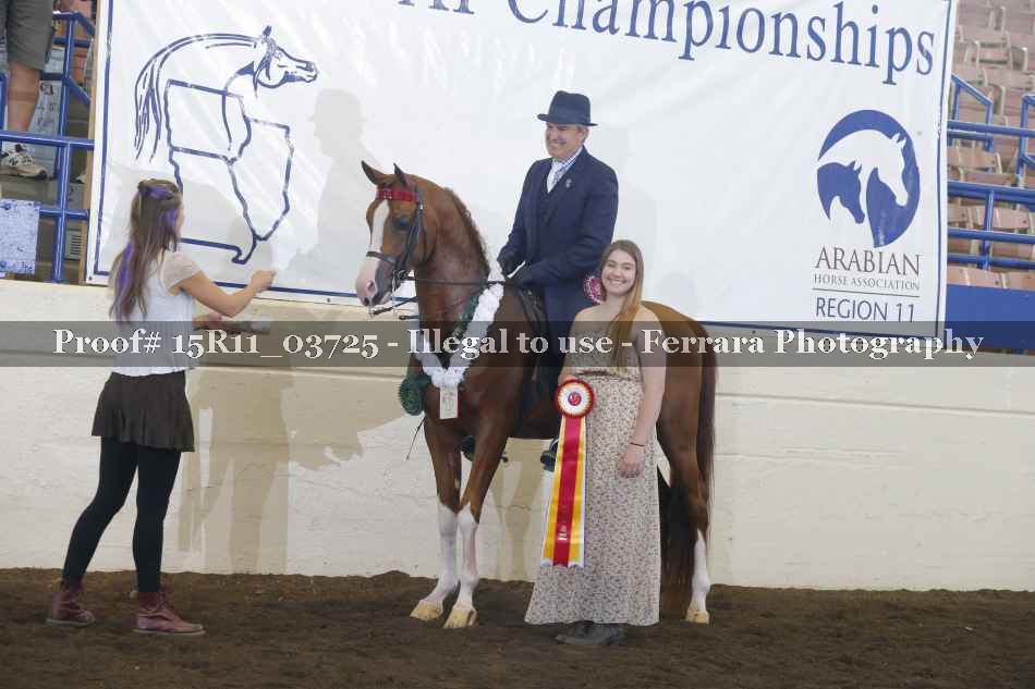 Proof Number 15R11_03725