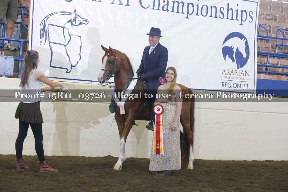 Proof Number 15R11_03726