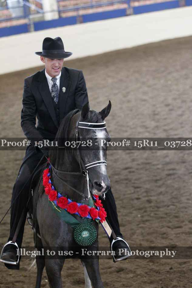 Proof Number 15R11_03728