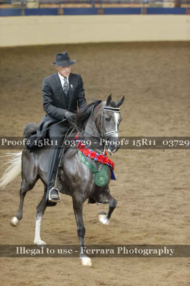 Proof Number 15R11_03729