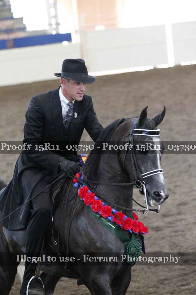 Proof Number 15R11_03730