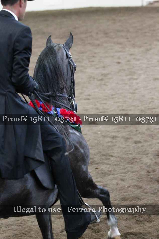 Proof Number 15R11_03731