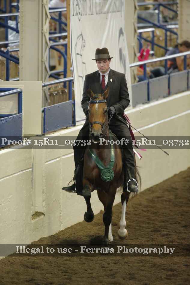 Proof Number 15R11_03732