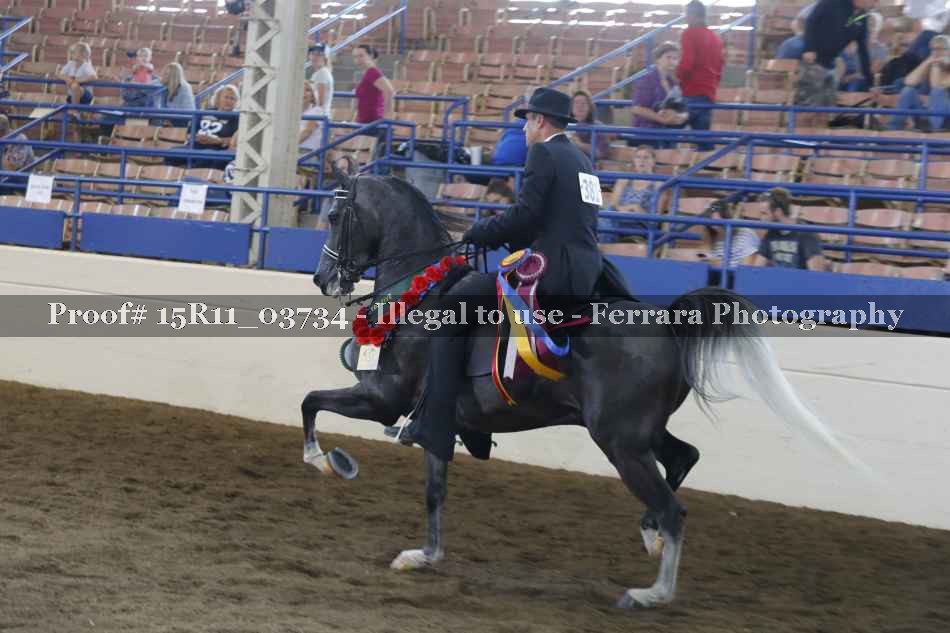 Proof Number 15R11_03734