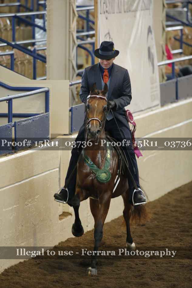 Proof Number 15R11_03736