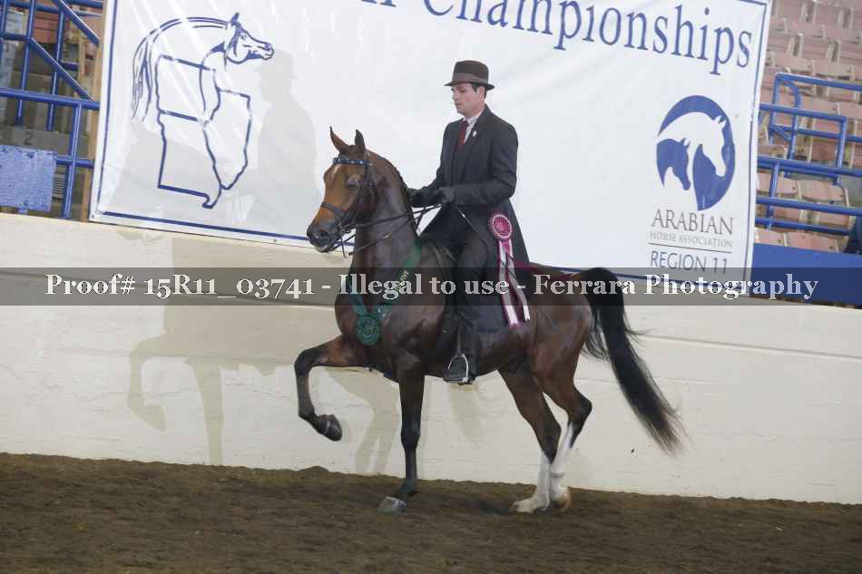 Proof Number 15R11_03741