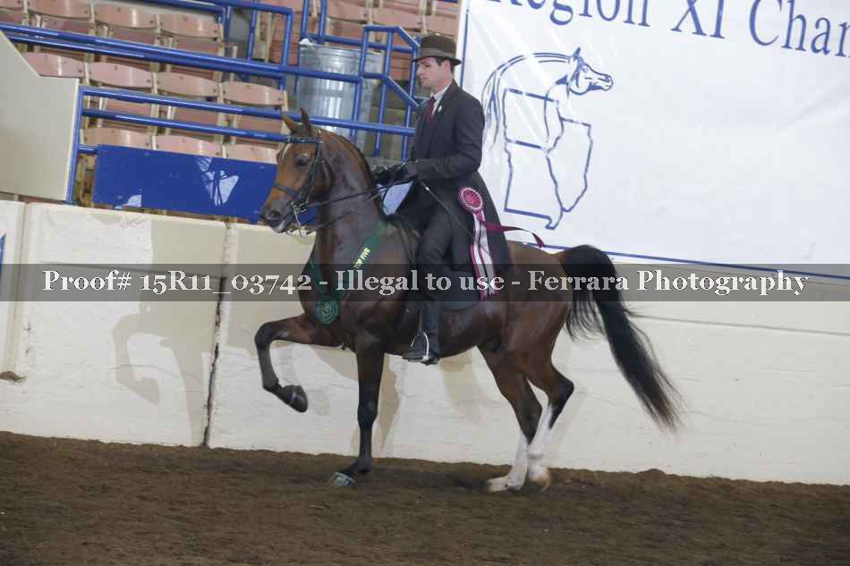 Proof Number 15R11_03742