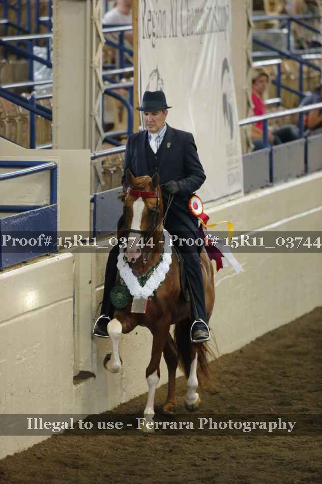 Proof Number 15R11_03744