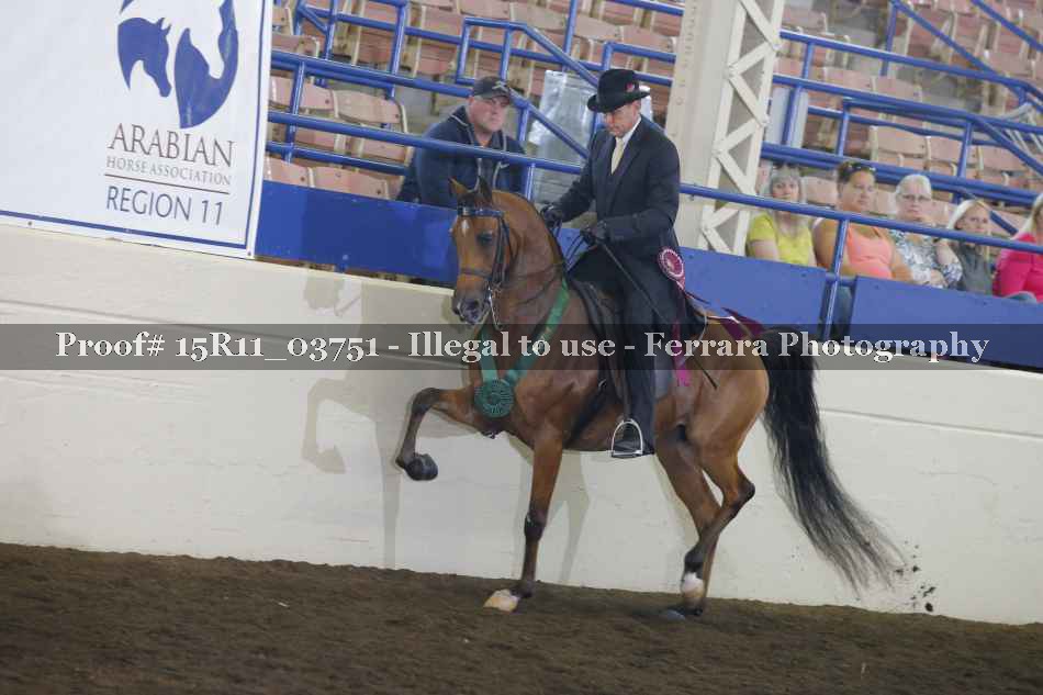 Proof Number 15R11_03751
