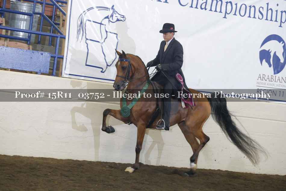 Proof Number 15R11_03752