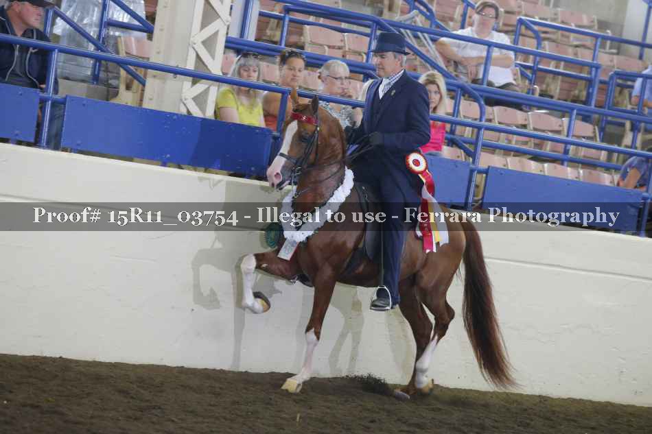 Proof Number 15R11_03754