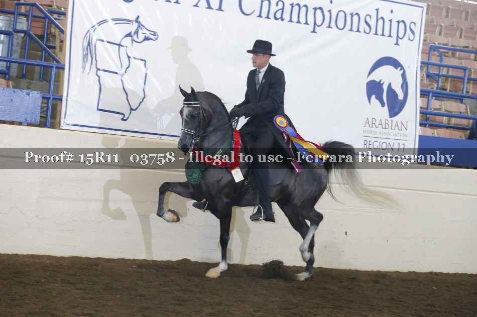Proof Number 15R11_03758