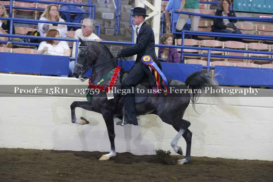 Proof Number 15R11_03759