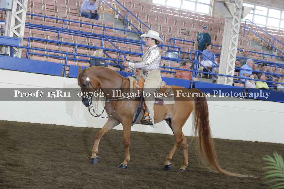 Proof Number 15R11_03762