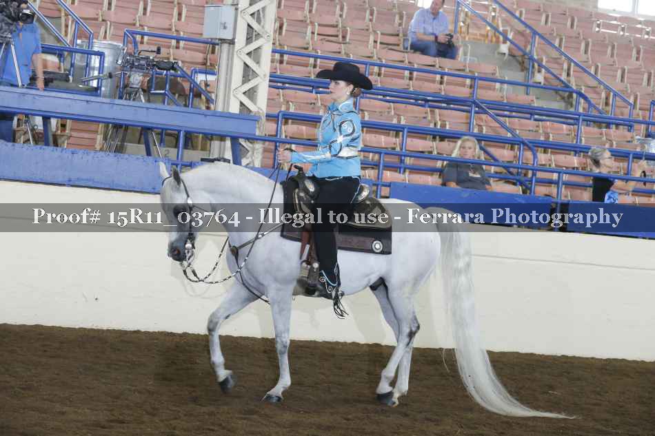Proof Number 15R11_03764
