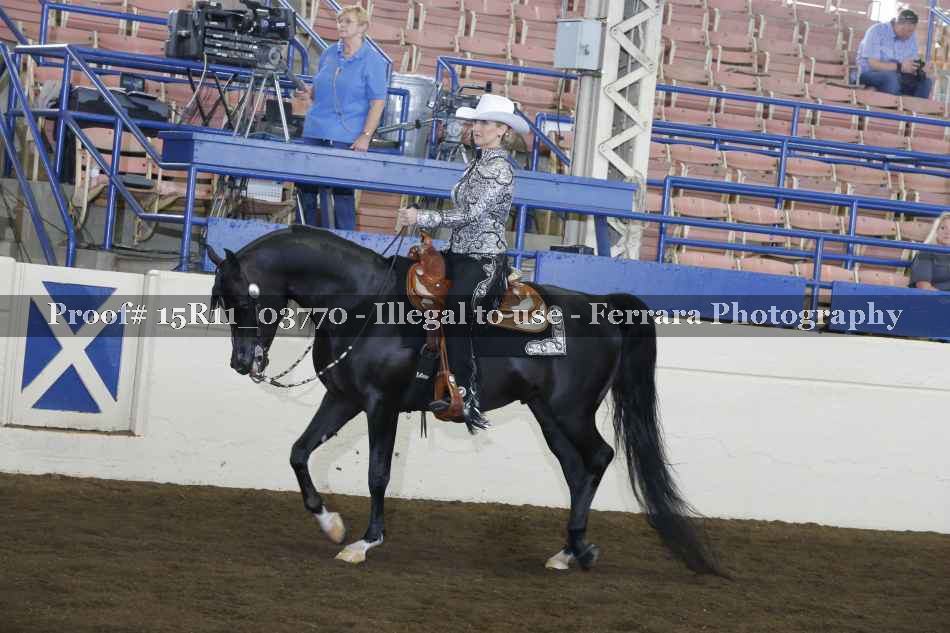 Proof Number 15R11_03770