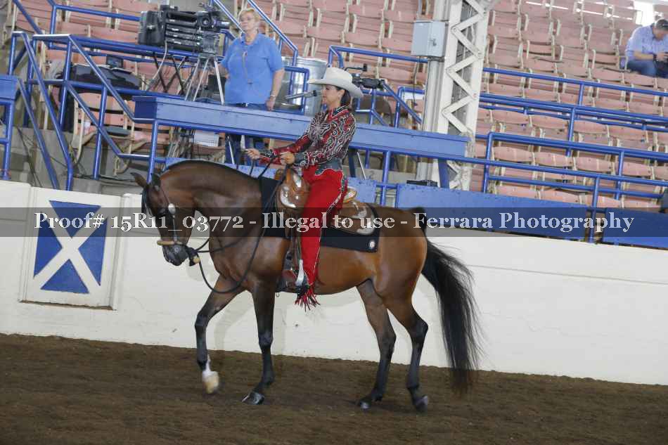 Proof Number 15R11_03772