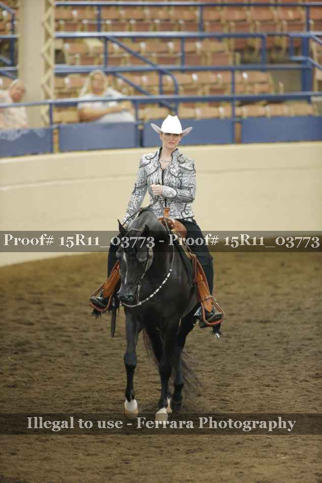 Proof Number 15R11_03773
