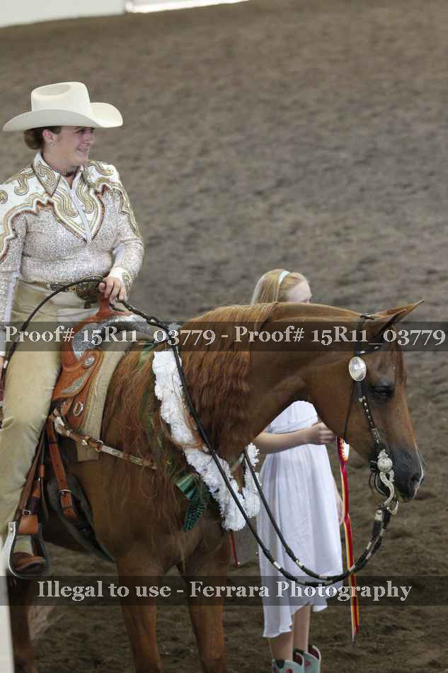 Proof Number 15R11_03779