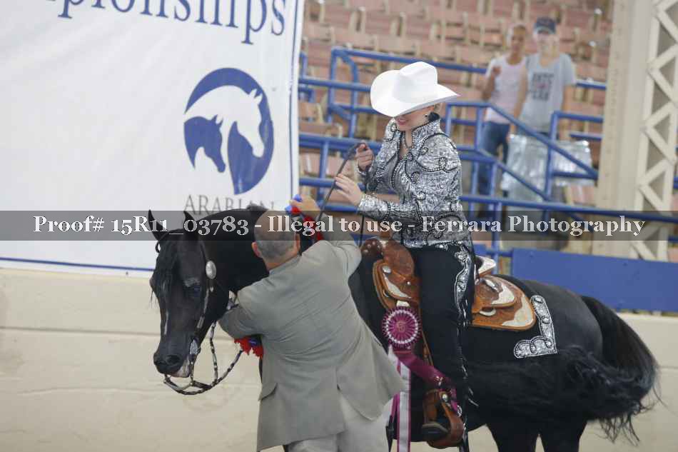 Proof Number 15R11_03783