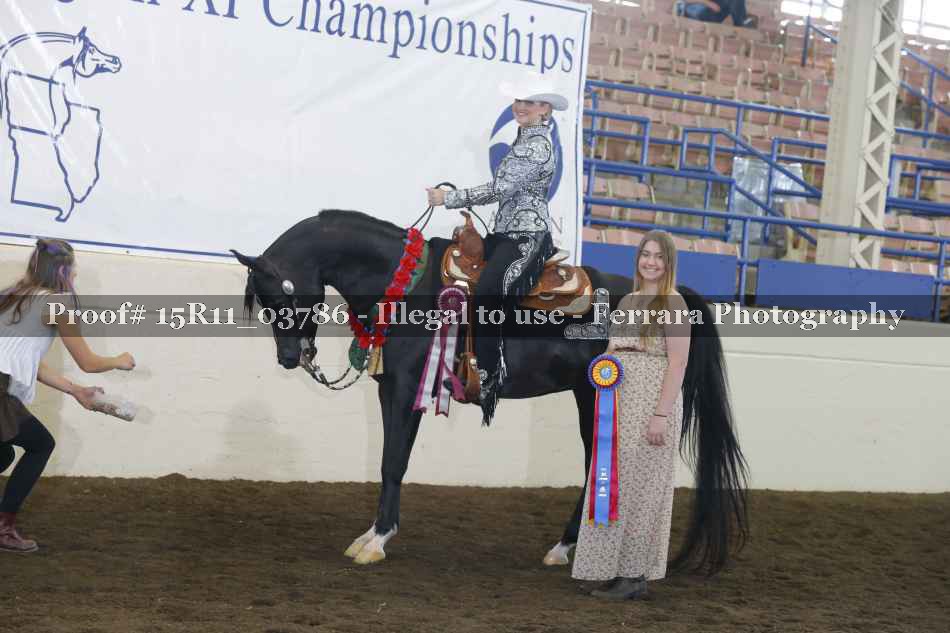 Proof Number 15R11_03786