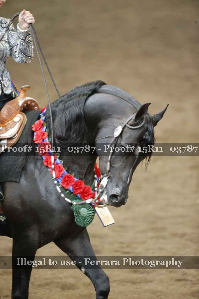 Proof Number 15R11_03787