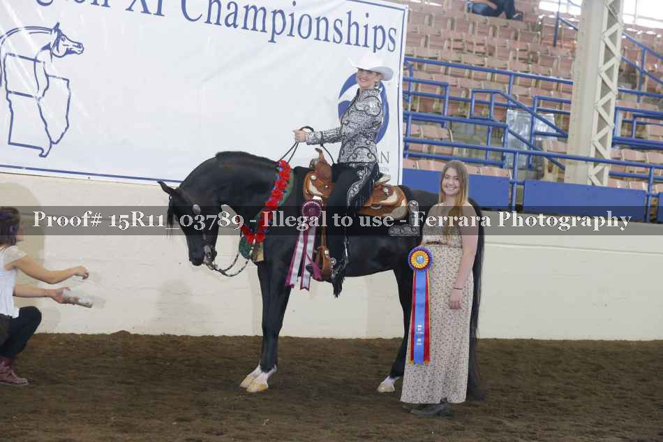 Proof Number 15R11_03789
