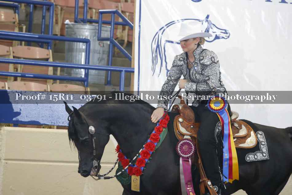 Proof Number 15R11_03791