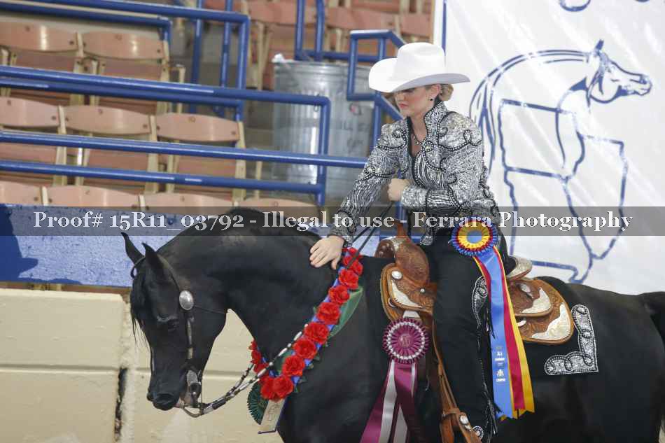 Proof Number 15R11_03792
