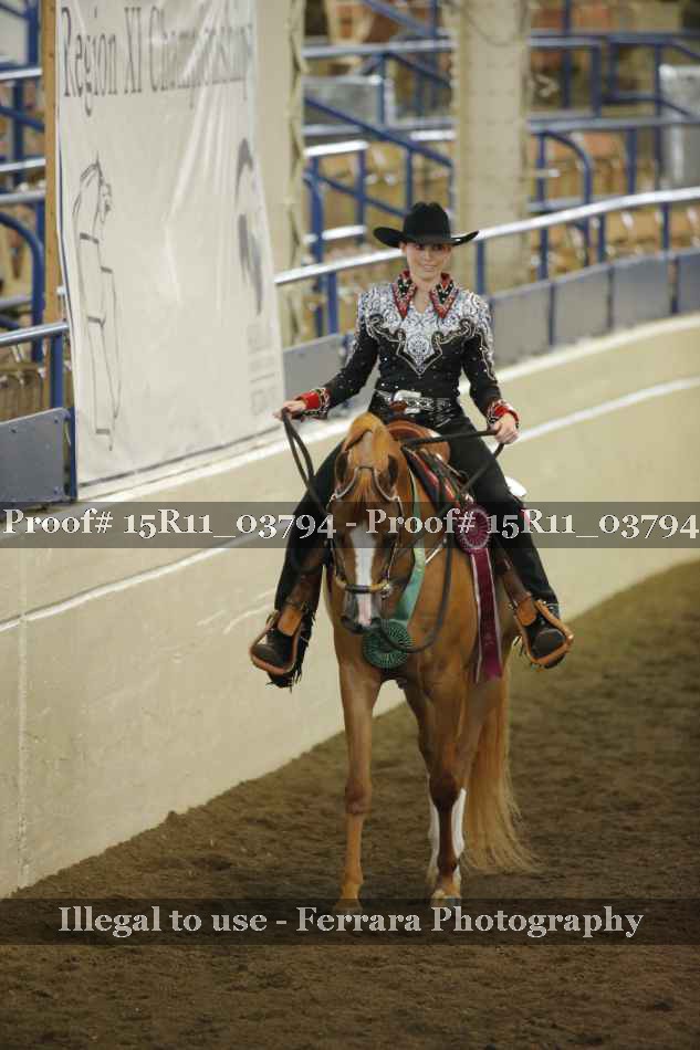Proof Number 15R11_03794