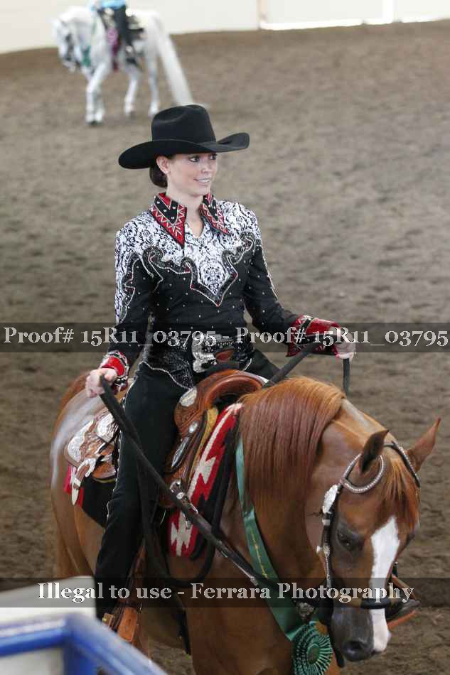 Proof Number 15R11_03795