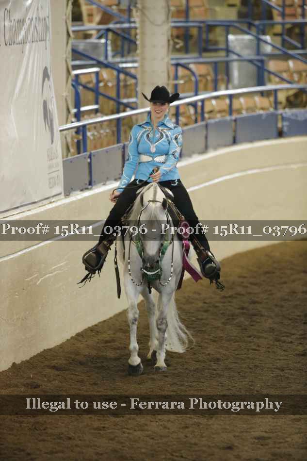 Proof Number 15R11_03796