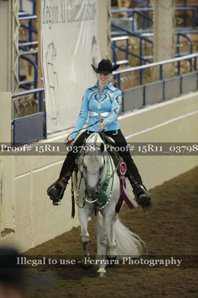 Proof Number 15R11_03798