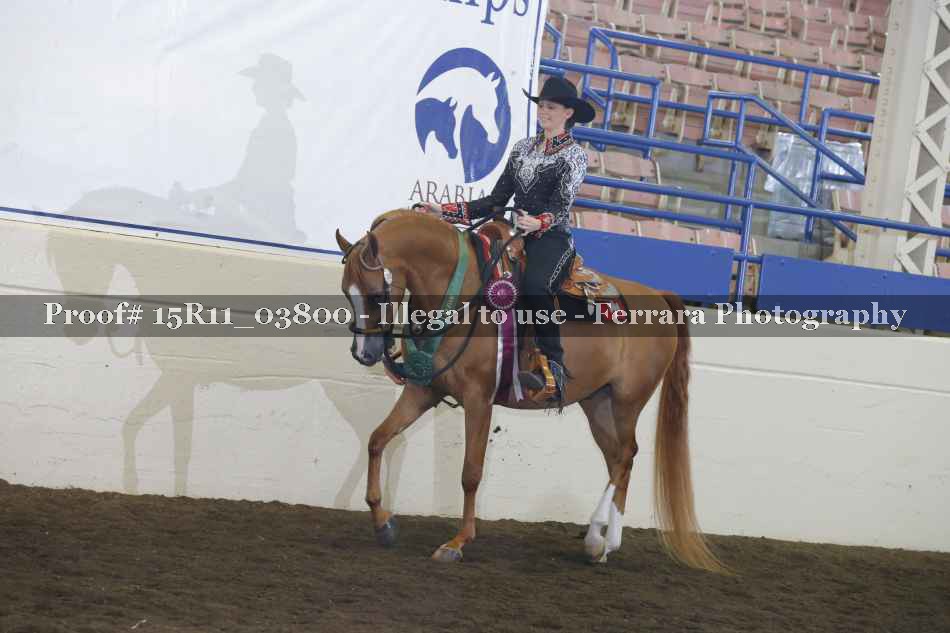 Proof Number 15R11_03800
