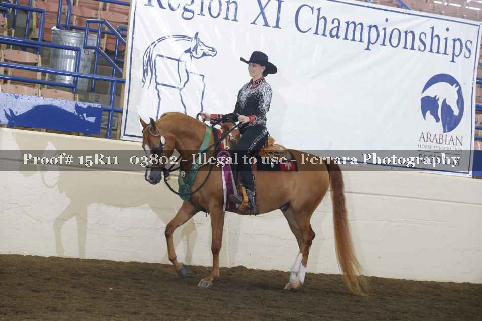 Proof Number 15R11_03802