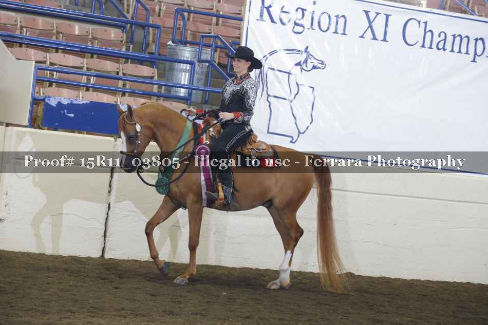 Proof Number 15R11_03805
