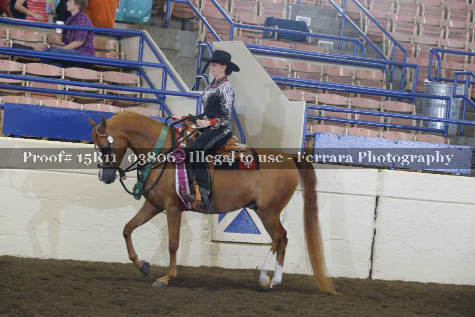 Proof Number 15R11_03806