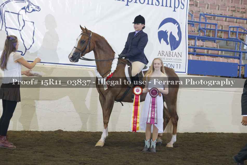 Proof Number 15R11_03837